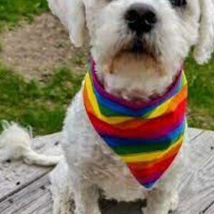 🏳️‍🌈 Pet Pride Bandana NWT